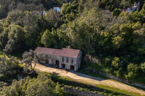 Landsbyhus i Sintra, Lisbon, Sintra - € 16.500.000 | Ref: W-02WJ84 - foto 8